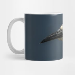 Black-Crowned Night Heron Mug